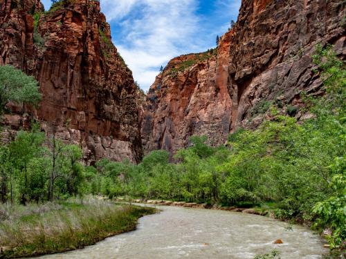 A river in a desert canyon with green trees on both sides